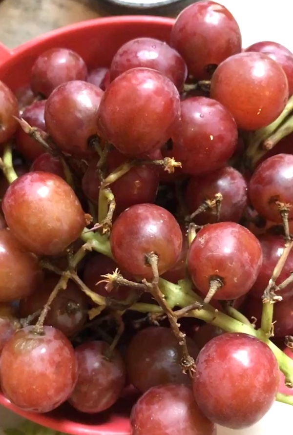 Close up picture of red grapes for Lemon Basil Chicken Salad with Grapes recipe. This recipe is simple, but the taste is anything but simple. It has layers of flavors and textures. You get the hearty texture of the chicken, brightness from the lemon, the fresh and fragrant basil, a slight bite from the onion, and a huge juicy burst of sweetness from the grapes.