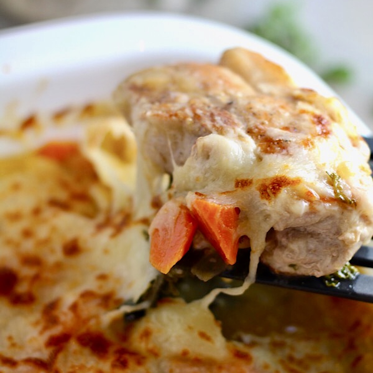 Spatula lifting pork chop and carrots with cheese pulling. Smothered Pork Chop Casserole is a true midwestern comfort dish with layers of vegetables and meaty pork chops smothered in a creamy sauce and cheese. The pork chops in this delicious casserole are left whole so that you get an entire portion dripping in goodness in one scoop.