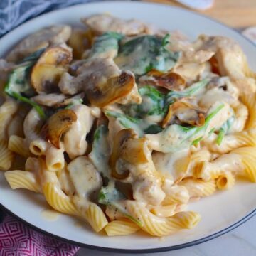 Chicken Mushroom Stroganoff on a plate with Cavatappi pasta, mushrooms, and spinach. It has a thick, creamy, savory mushroom sauce with a touch of tangy sour cream.