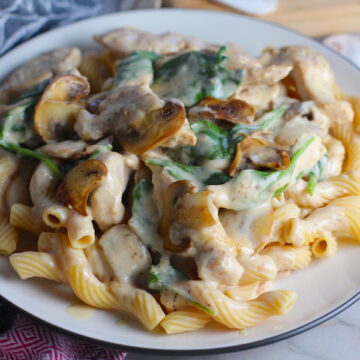 Chicken Stroganoff on a plate with Cavatappi pasta, mushrooms, and spinach. It has a thick, creamy, savory mushroom sauce with a touch of tangy sour cream. #chickendinners #chickenrecipes #familydinners #dinnerideas