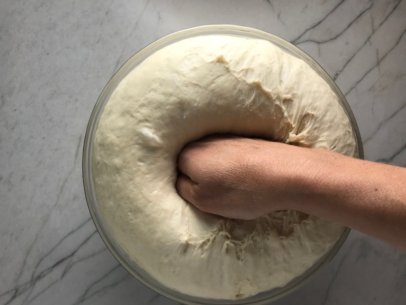 Hand punching down a homemade pizza dough in a bowl that had risen for a BBQ Chicken Pizza Recipe