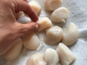 Hand removing muscle from side of raw scallops on paper towel for Glazed Pan Seared Scallops with Garlic and Honey.