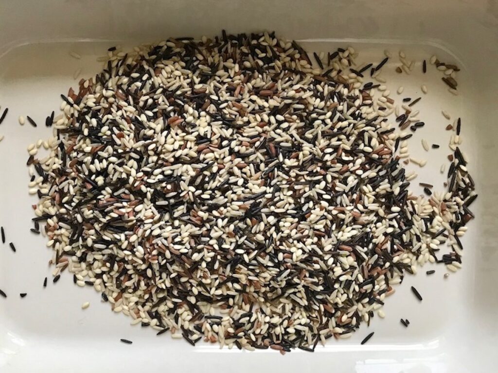 Uncooked wild rice in a casserole dish for Chicken Wild Rice Casserole with Zucchini and Mushrooms.