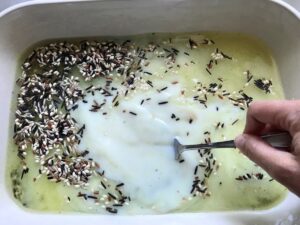 Hand using fork to mix uncooked wild rice with broth and milk in a casserole dish for Chicken Wild Rice Casserole with Zucchini and Mushrooms.