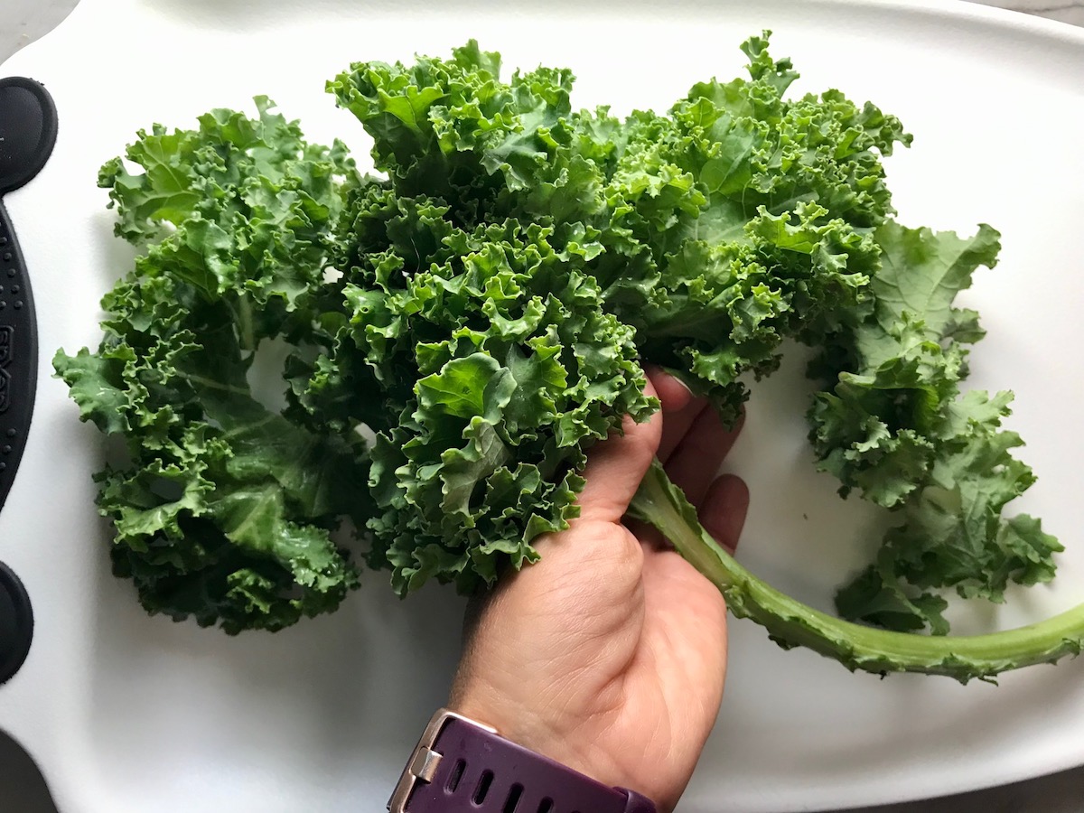Hand stripping the kale leaves from a stem.